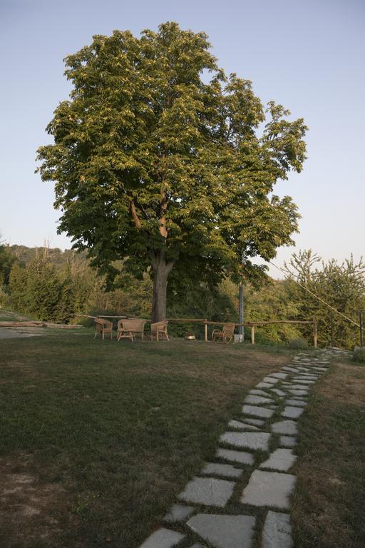 Crealto Villa Alfiano Natta Екстериор снимка
